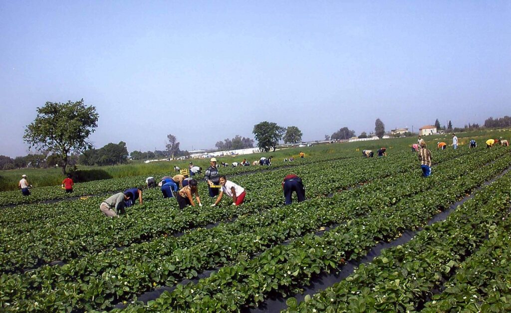 Σύσκεψη για εργάτες γης και νομοθεσία