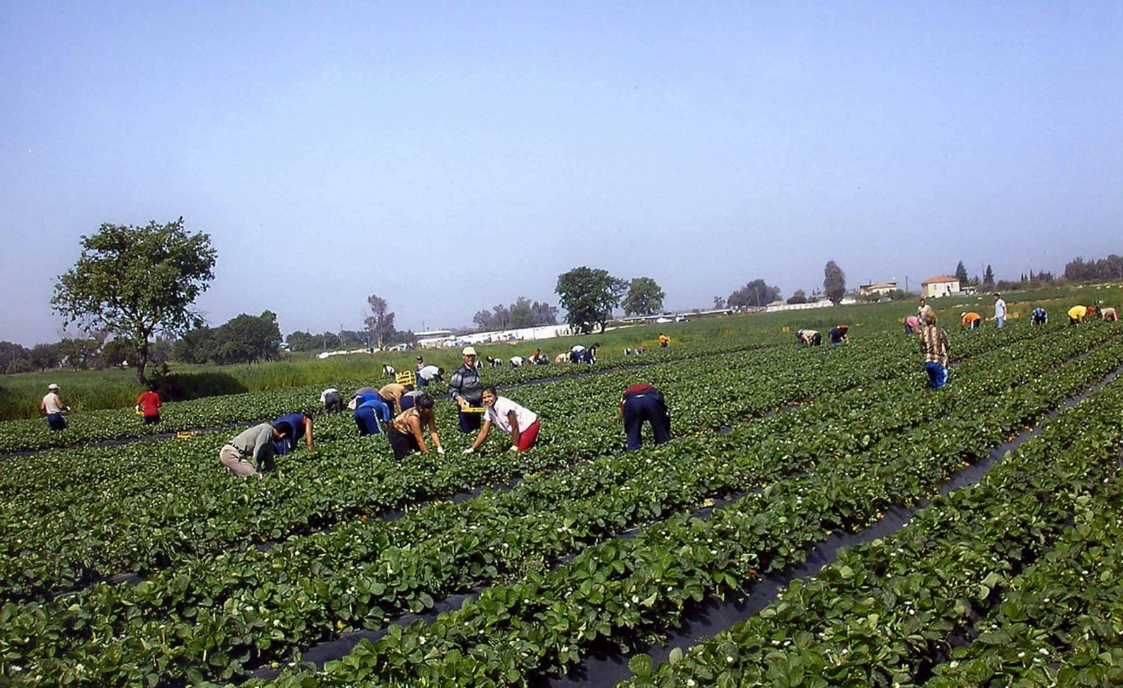 Σύσκεψη για εργάτες γης και νομοθεσία