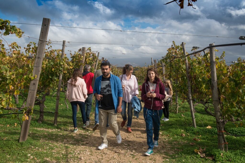 Ανοίγουν πόρτες τα οινοποιεία της Κρήτης