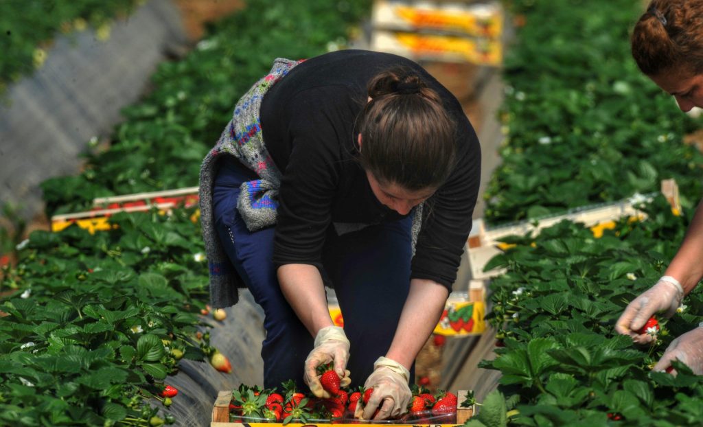Δράσεις για τη στήριξη των αγροτών