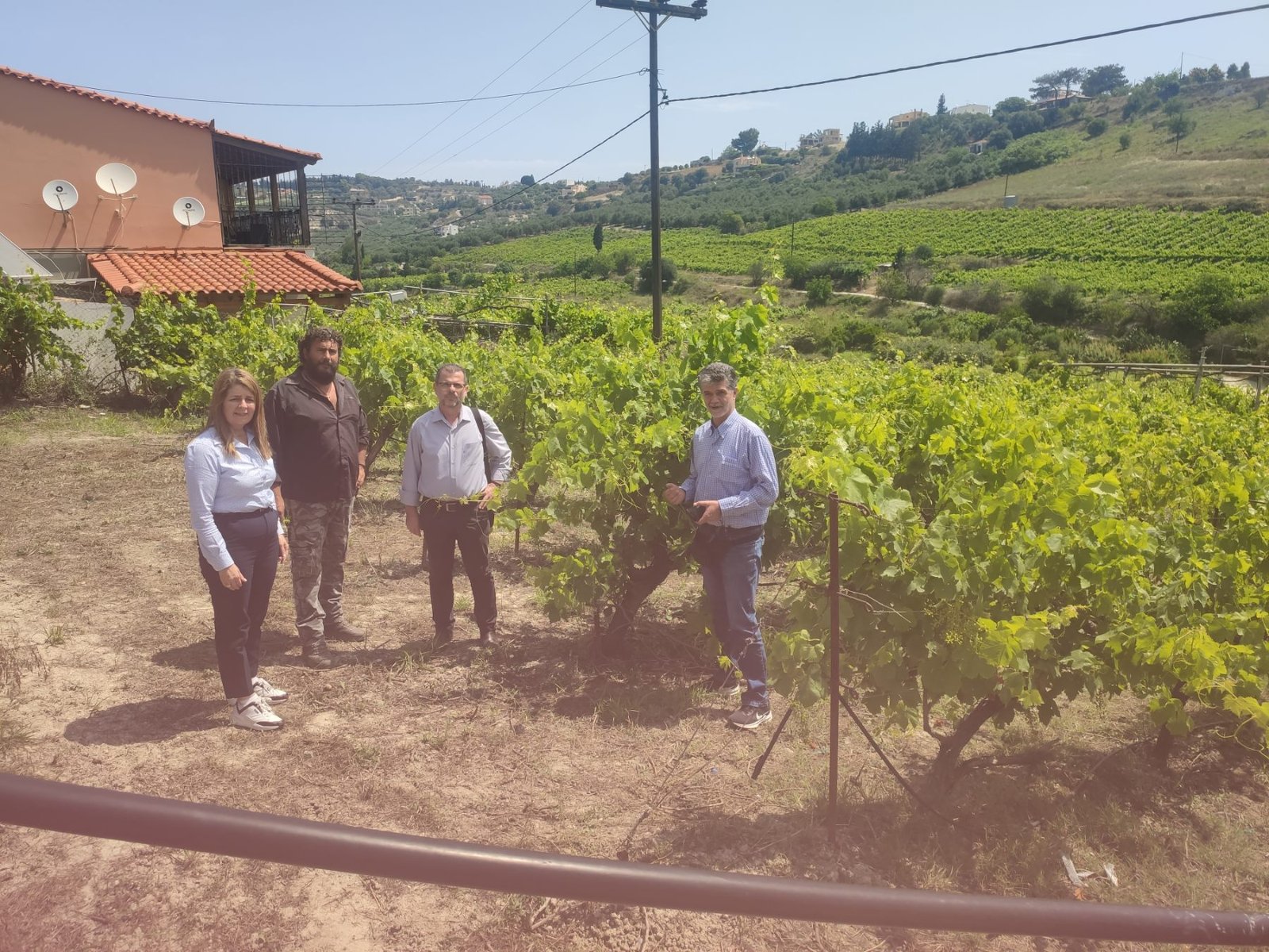 Ελέγχει τις πληγείσες καλλιέργειες η Περιφέρεια