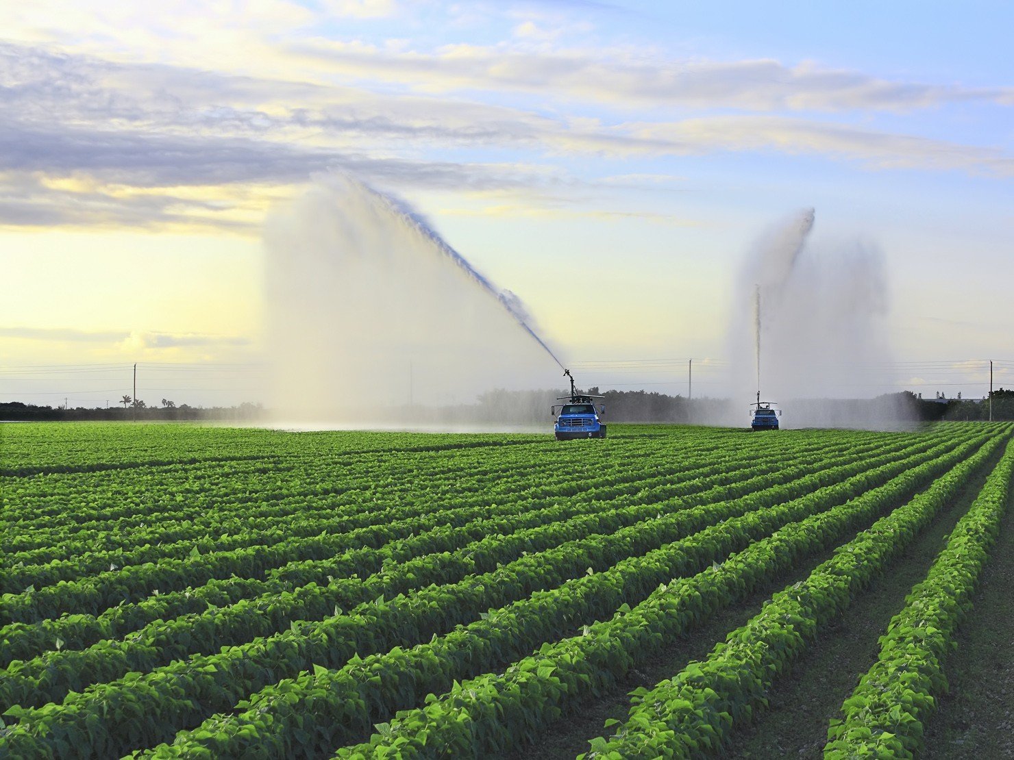 Χαμηλά τα ποσοστά ενεργοποίησης δικαιωμάτων