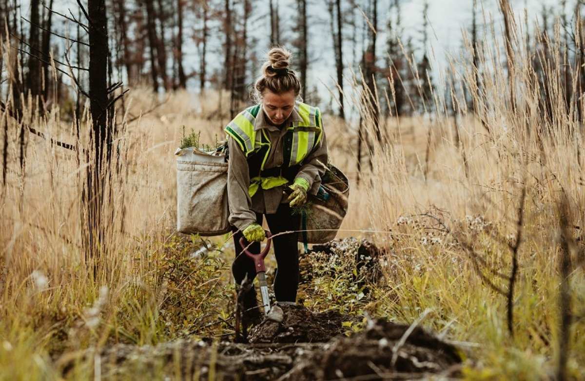 Η αποκατάσταση της φύσης νόμος της Ε.Ε.