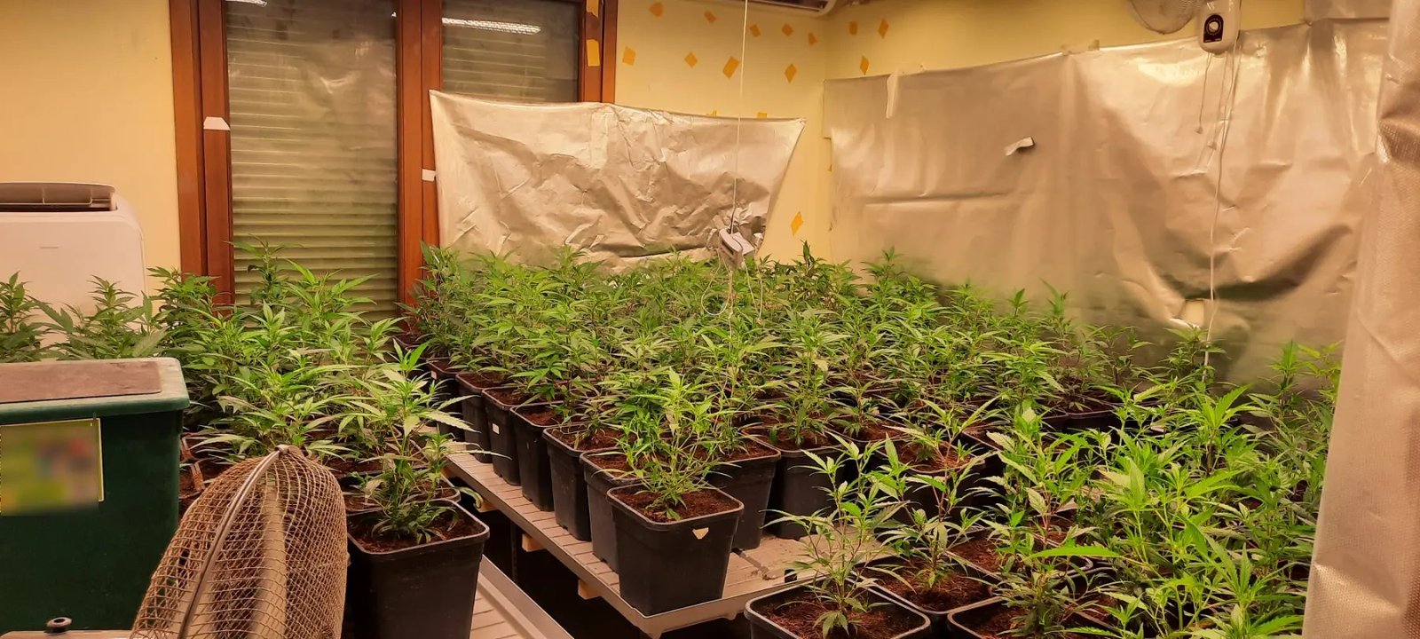 Προφυλακιστέοι τρεις για την υπόθεση της ναρκοβίλας που αποκάλυψε το ΘΕΜΑ ΚΡΗΤΗΣ