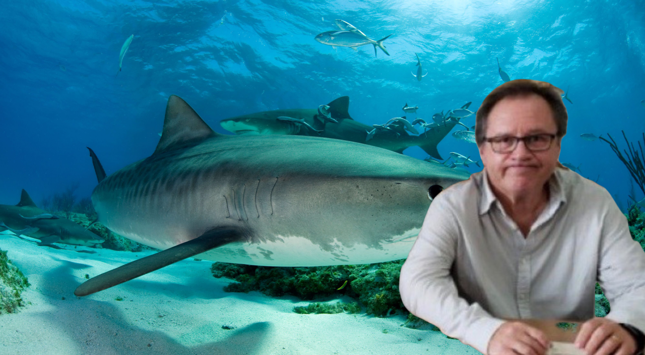 Γ. Τσερπές στο ΘΕΜΑ: “Δεν υπάρχουν καρχαρίες στα ρηχά”