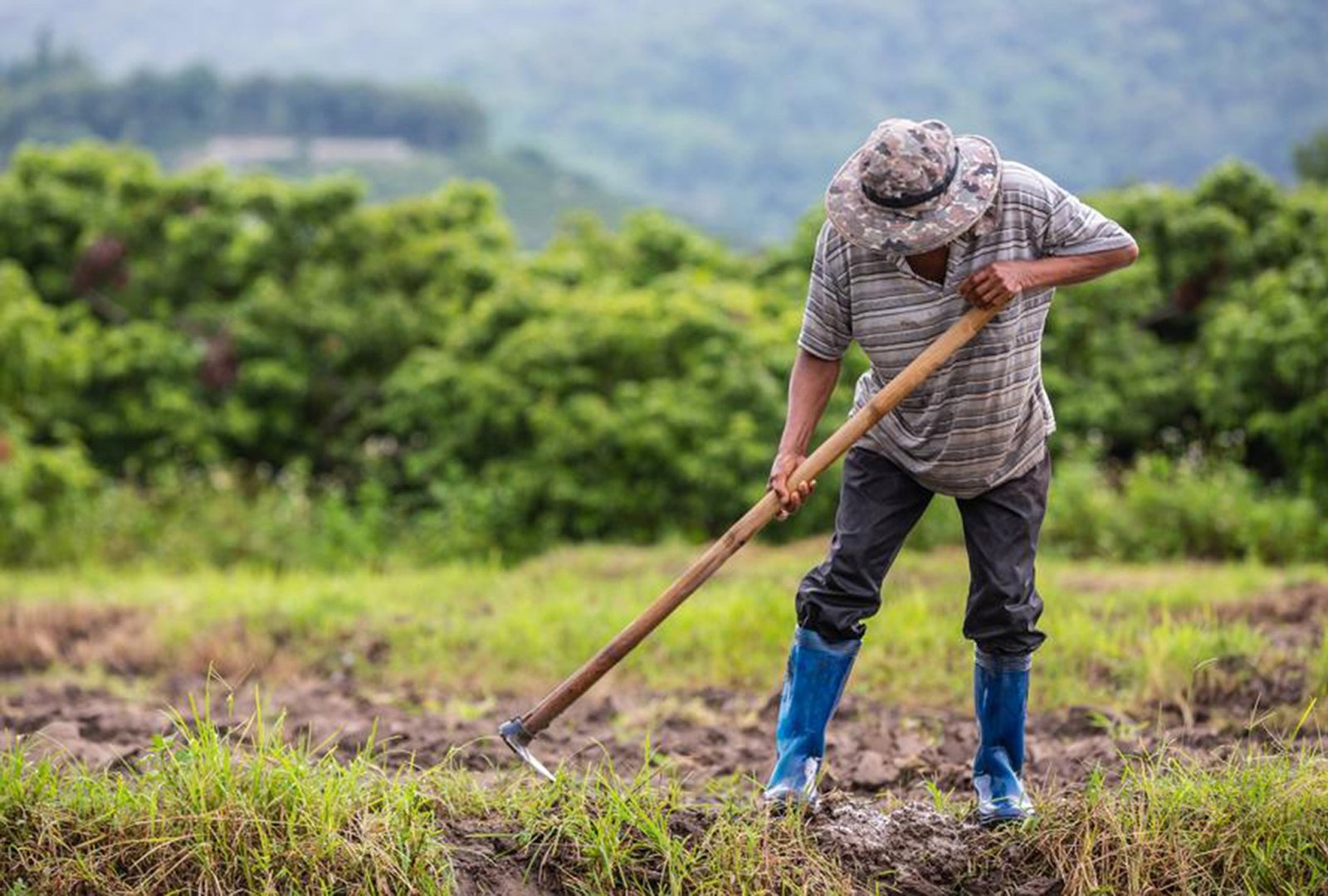 Πήρε πάνω του την υπόθεση ο Αυγενάκης για να μη χαθούν τα χρήματα