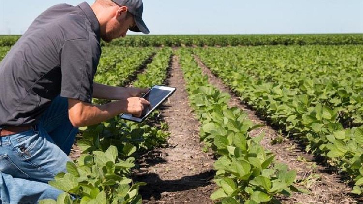 Ανακοίνωση αποτελεσμάτων γεωργικών συμβούλων για την Κεντρική Μακεδονία