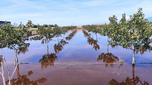 Δειγματοληψίες από ΕΛΓΟ στα πλημμυρισμένα για εκτίμηση των συνθηκών