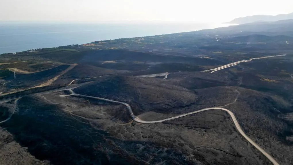 Χάνεται το δάσος της Δαδιάς