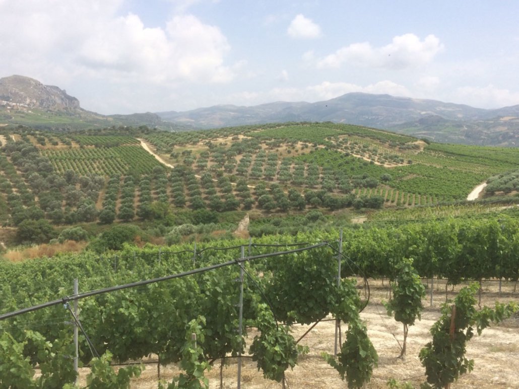 Παρουσίαση βιβλίου για τις Δαφνές