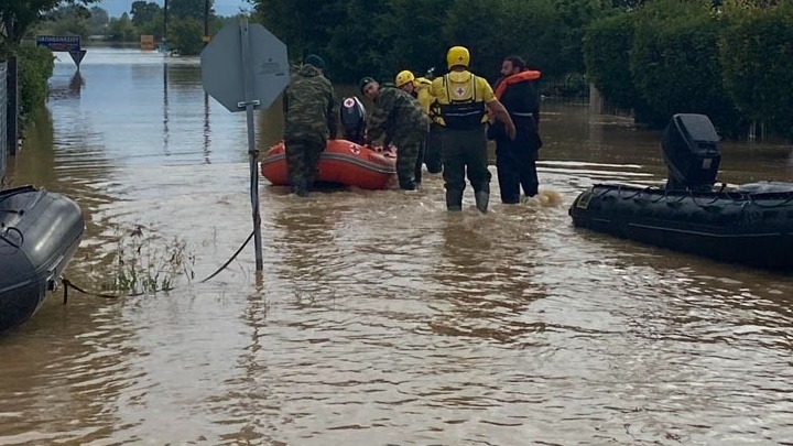Έγκαιρα άρχισε η περισυλλογή νεκρών ζώων από τις πληγείσες περιοχές