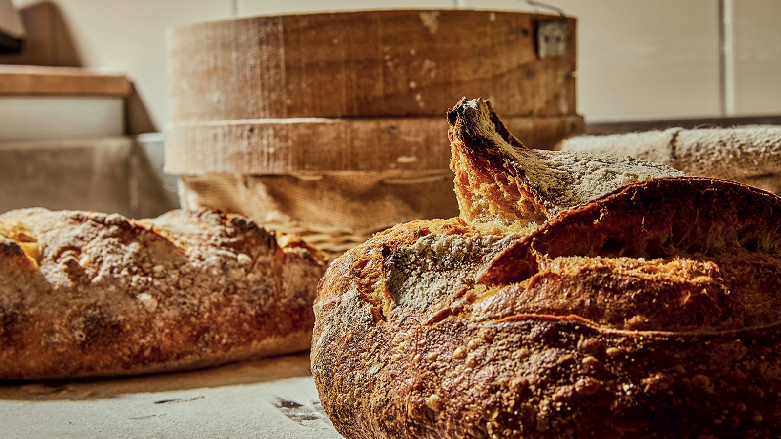 Τις Ευρωπαϊκές Ημέρες Πολιτιστικής Κληρονομιάς γιορτάζουν τα μουσεία Κρητικών Ιστορικών Μελετών