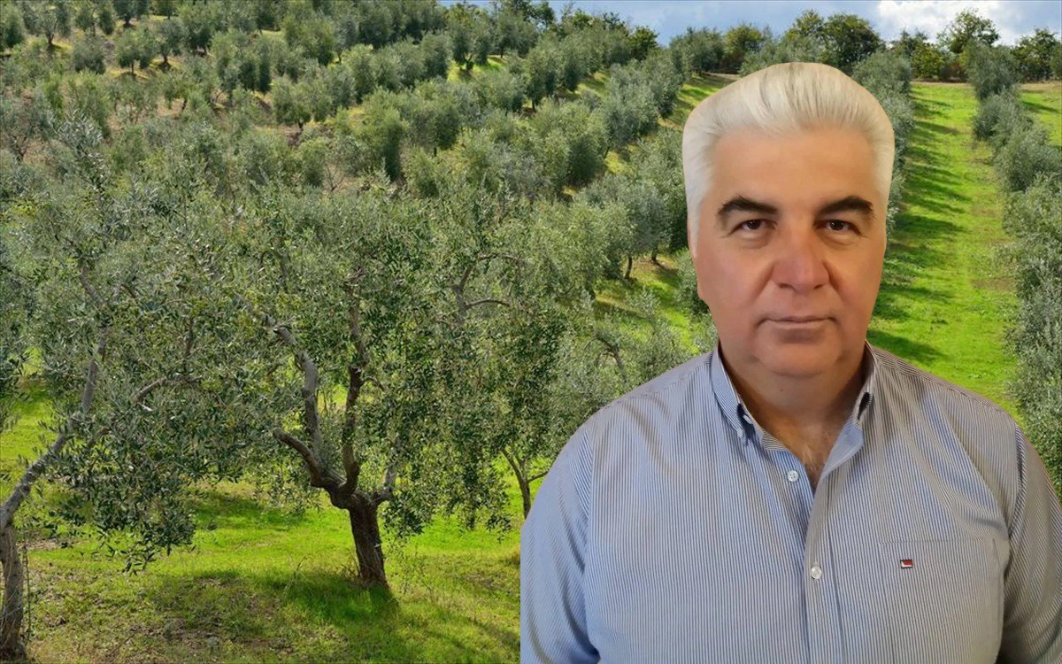 Β. Πρωτογεράκης στο ΘΕΜΑ ΚΡΗΤΗΣ: Υψηλές και φέτος οι τιμές στο ελαιόλαδο