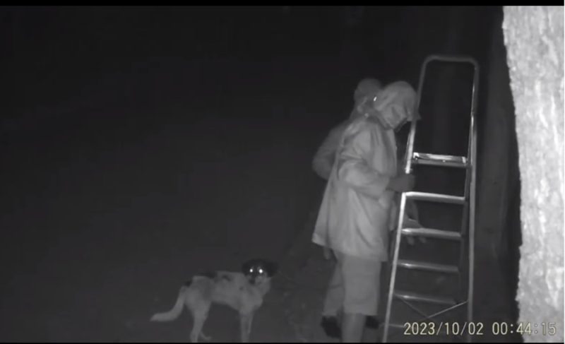 Κέρκυρα: Πετάνε σκυλιά για να τα ξεφορτωθούν