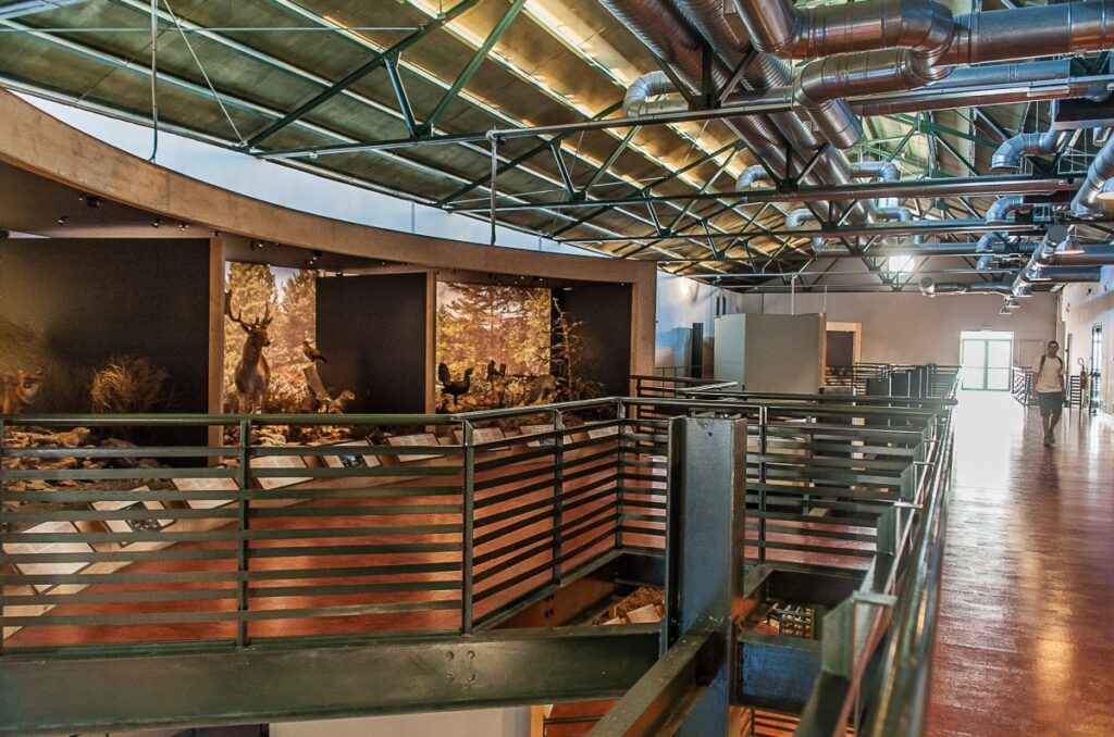 Εκδηλώσεις κι εργαστήρια για τις φυσικές καταστροφές από το Μουσείο Φυσικής Ιστορίας