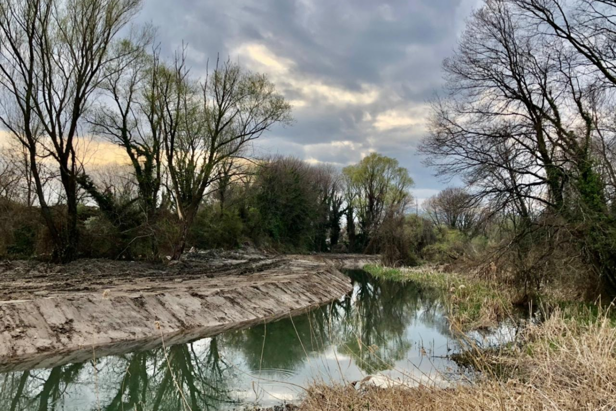 Τέταρτη εγκληματική δραστηριότητα στον κόσμο το περιβαλλοντικό έγκλημα