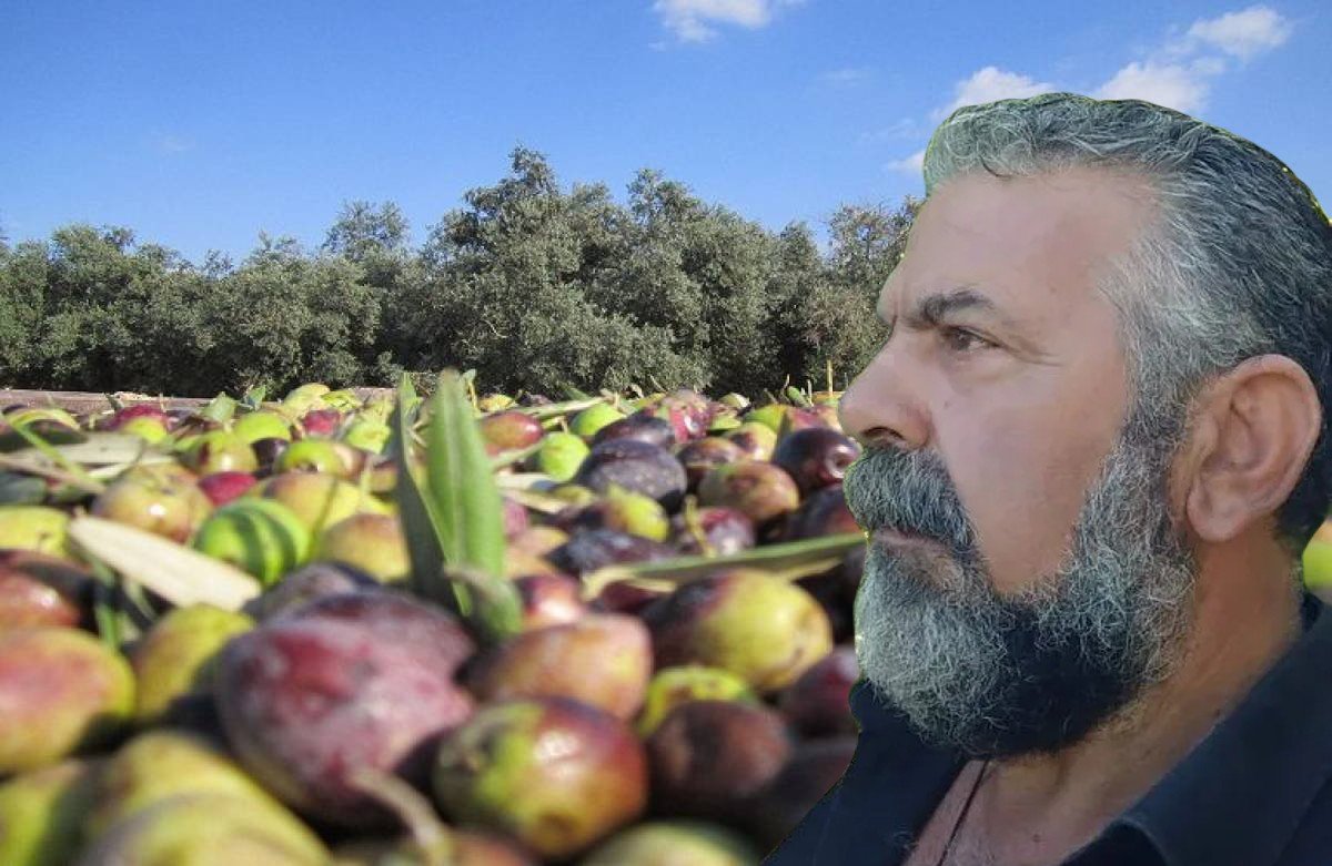 Π. Ιερωνυμάκης σε ΘΕΜΑ ΚΡΗΤΗΣ: “Το πρόβλημα με τις επιδοτήσεις είναι καθαρά πολιτικό”