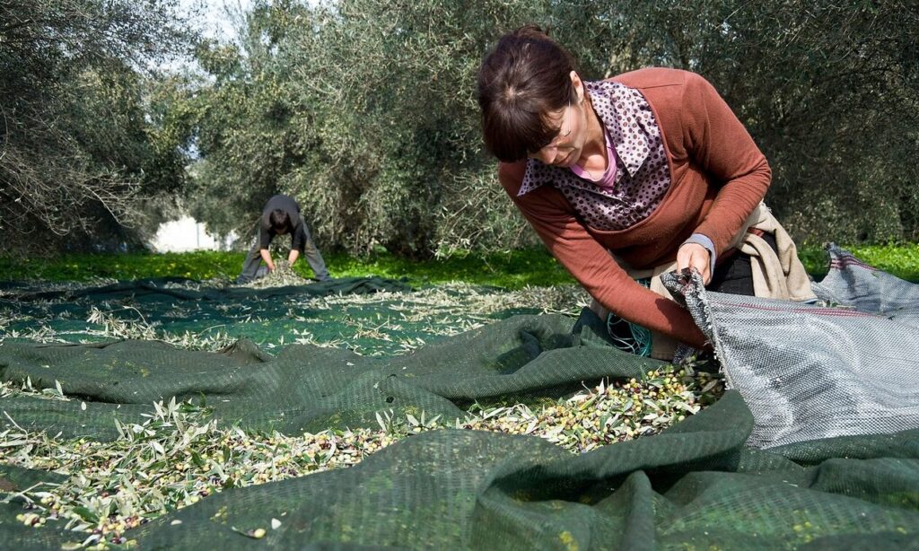 Οργή στον αγροτικό κόσμο με τις ενισχύσεις – Σχεδιάζονται οι επόμενες κινήσεις