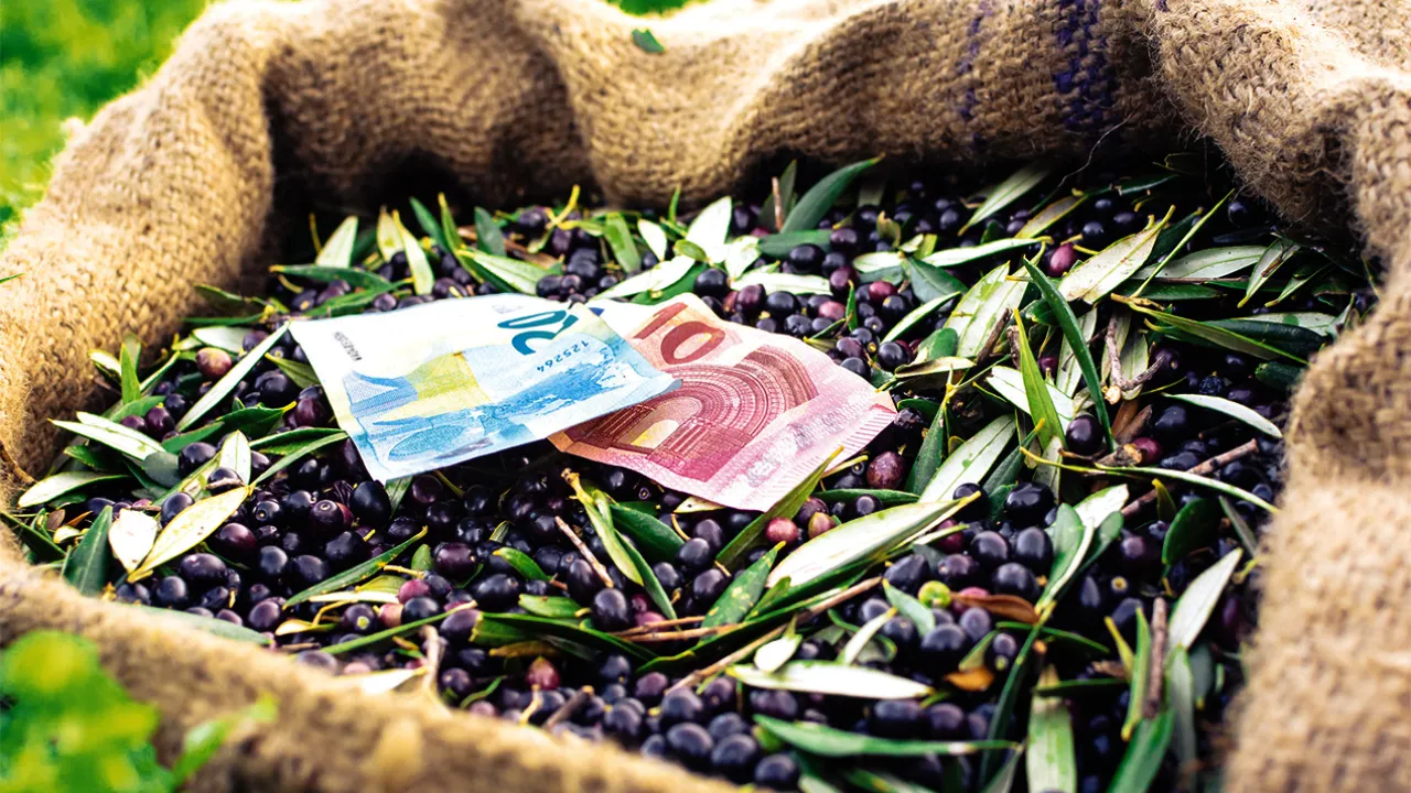 Κομισιόν: Προθεσμία στην Ελλάδα για τις αγροτικές επιδοτήσεις – Προειδοποιεί με «πάγωμα» πληρωμών