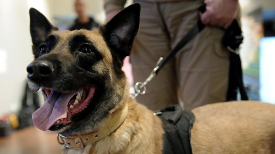 Τα ναρκωτικά δεν ήταν πρόβλημα για τον … Μασκ