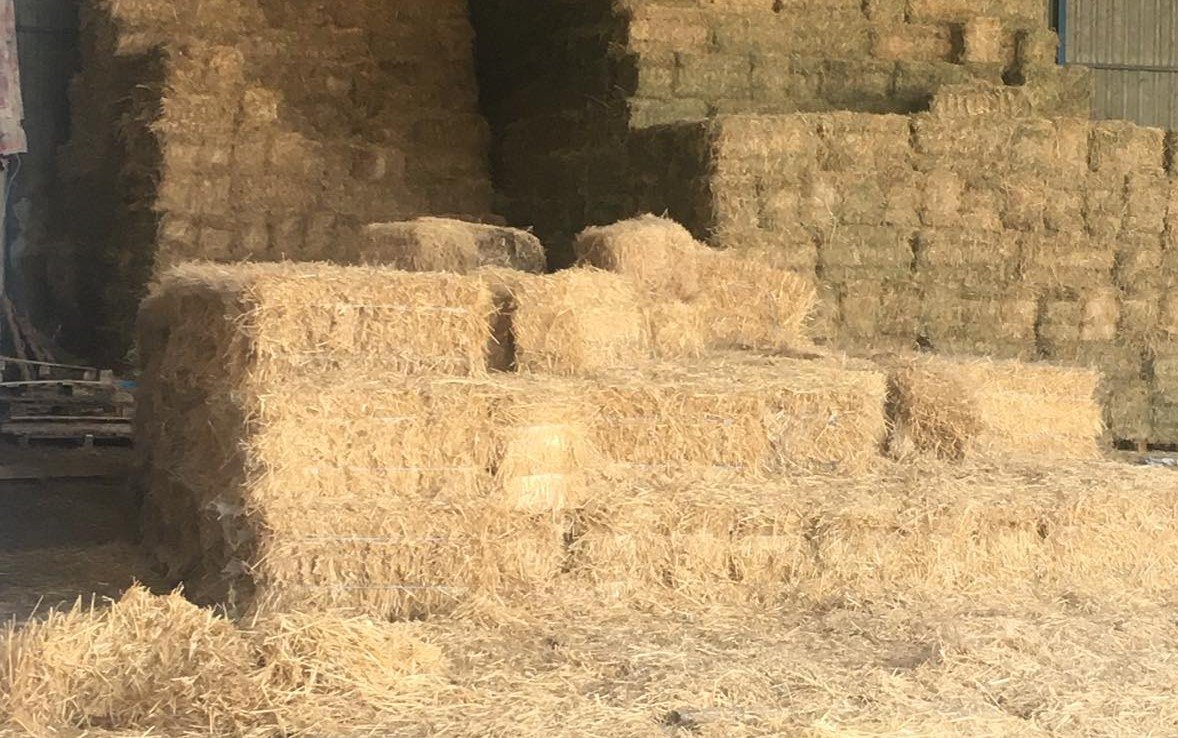 ΜΕΓΑΛΗ ΑΣΤΥΝΟΜΙΚΗ ΕΠΙΧΕΙΡΗΣΗ: Έκρυβαν δόσεις άνω του 1 κιλού κοκαΐνης πλάι στο σανό