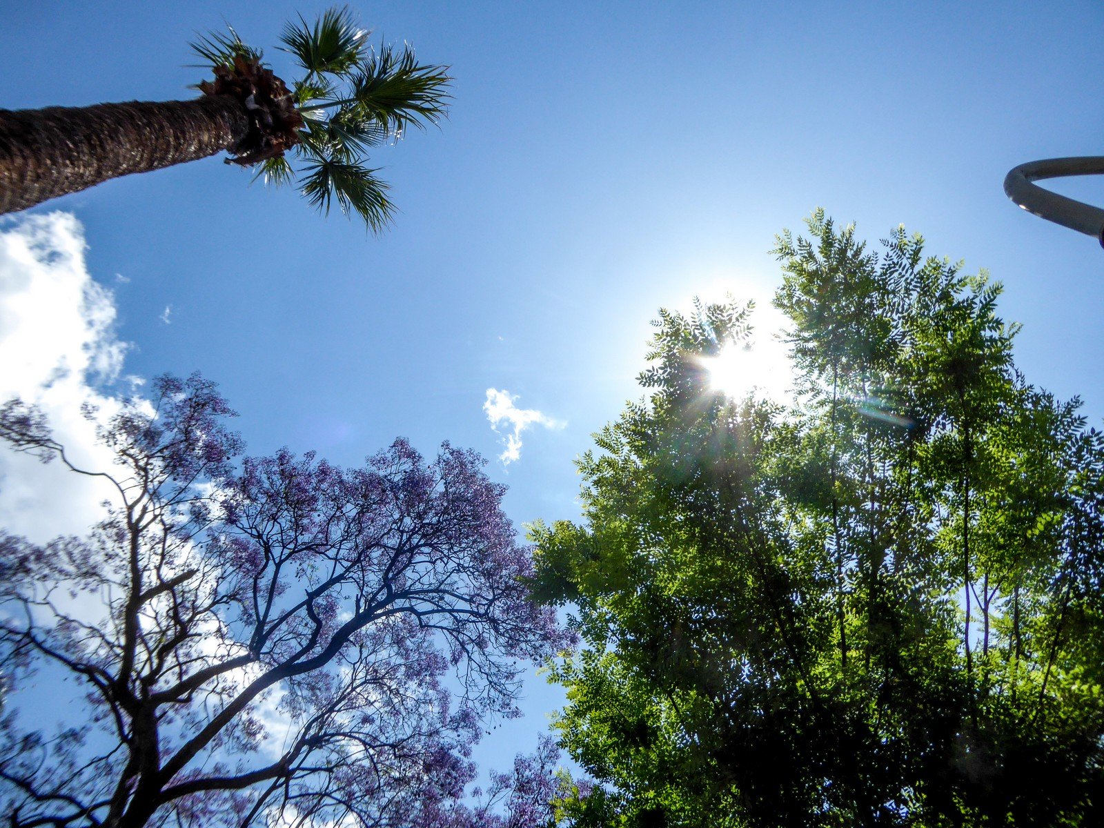Πανευρωπαϊκό ρεκόρ ζέστης στην Κρήτη και χιόνια στο Καϊμακτσαλάν