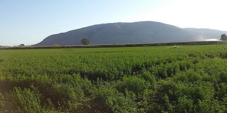 Μεταθέτει ενισχύσεις για το … 2024 ο ΟΠΕΚΕΠΕ