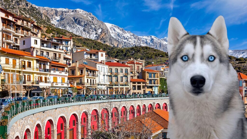 Υπόθεση Αράχωβας: “Είναι γνωστό το όνομα του δράστη” λέει η Μ. Πουλτίδου