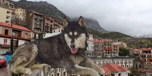 ΕΛ.ΑΣ για υπόθεση Όλιβερ: Στο βίντεο δεν βλέπουμε κανένα να κακοποιεί τον σκύλο στην Αράχωβα