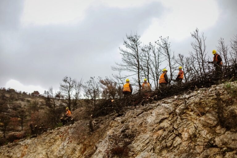 Αντιπλημμυρικές παρεμβάσεις στα καμμένα της Πάρνηθας ανέλαβε η ΔΕΗ