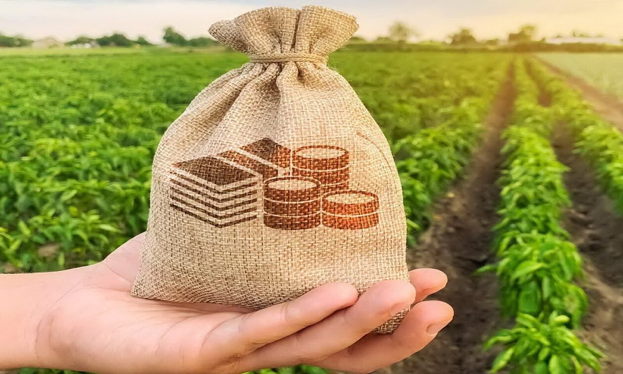 Σε δυο φάσεις η καταβολή ποσού έως 260 εκατ. ευρώ από τον ΟΠΕΚΕΠΕ για τις συνδεδεμένες ενισχύσεις