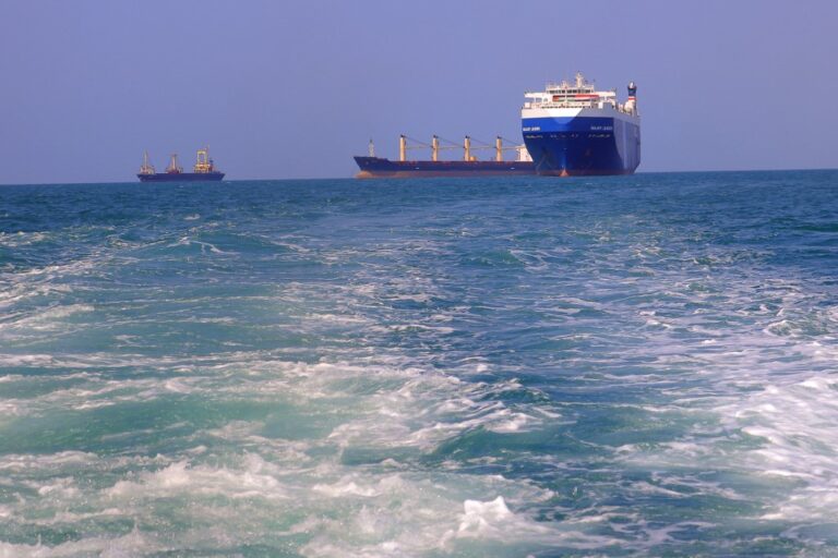 Ο Μ. Βιαννιτάκης στο ΘΕΜΑ: «Να μείνει στο 60% η ενίσχυση για το μεταφορικό ισοδύναμο»