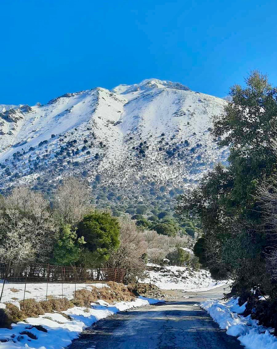 Κάμπος Οροπεδίου Λασιθίου: Μια ματιά στην … λευκή καρδιά της Κρήτης