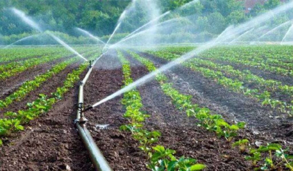 Καμία αύξηση στα τέλη άρδευσης Ηρακλείου για το 2024