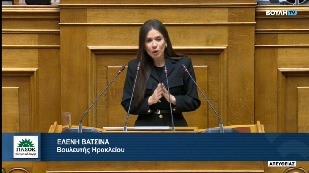 Βατσινά: Κρίσιμα πολιτικά ζητήματα πίσω από μια αυτοκτονία