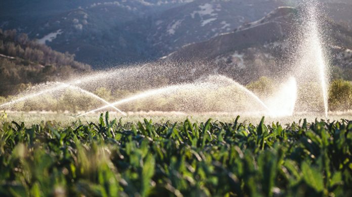 ΑΠΟΚΑΛΥΨΗ: Ξοδεύουμε έξι φορές περισσότερο νερό στην Κρήτη απ’ όσο πραγματικά χρειάζομαστε!