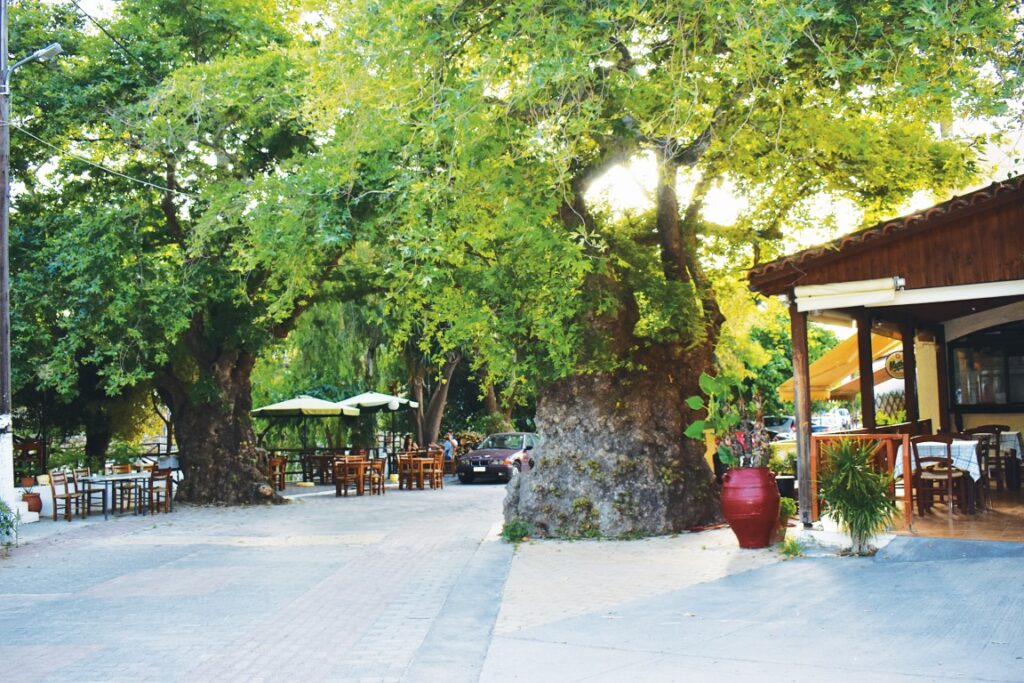 Αρχιτεκτονικός διαγωνισμός για την ανάπλαση του Φόδελε