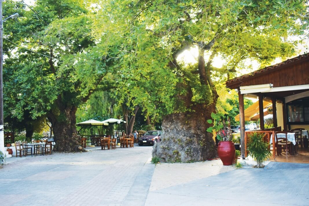 Αρχιτεκτονικός διαγωνισμός για την ανάπλαση του Φόδελε