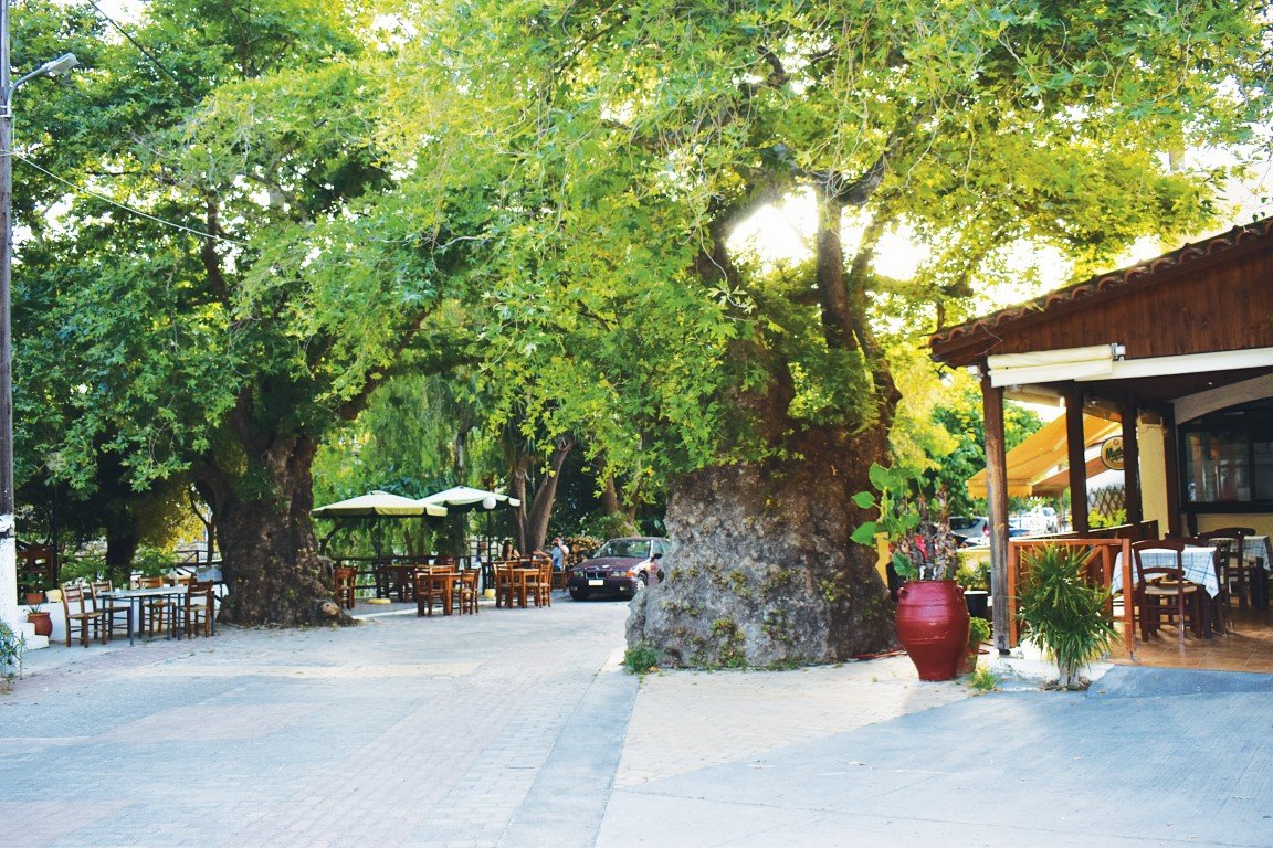 Αρχιτεκτονικός διαγωνισμός για την ανάπλαση του Φόδελε