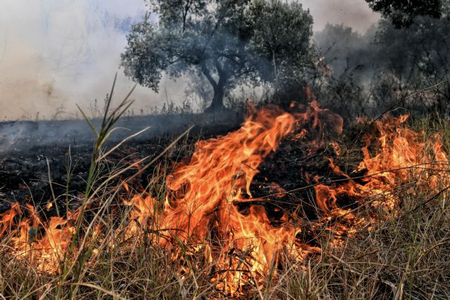 Πυροσβέστες: Προσέξτε αν δεν θέλετε να βάλετε βαθιά το χέρι στην τσέπη
