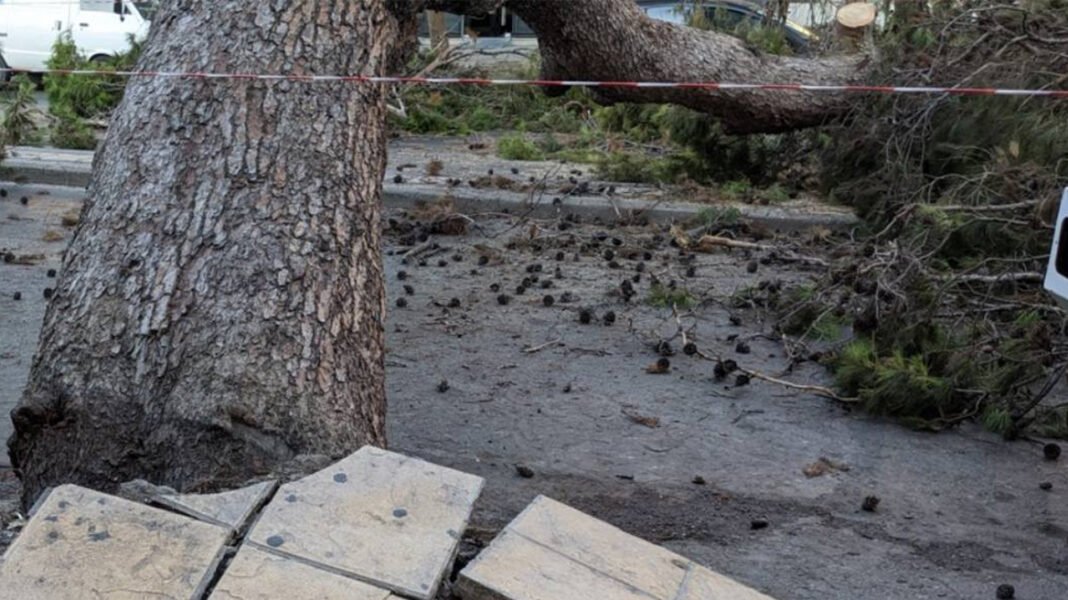 Τραγικές μνήμες ξυπνούν στις 14 Μαρτίου