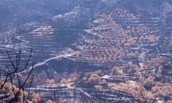 Σχεδόν 13 εκατομμύρια η κρατική αρωγή για τη Λακωνία
