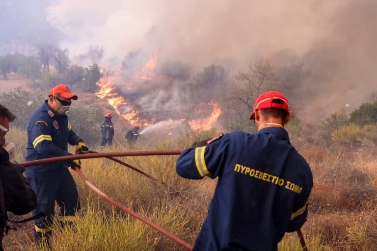 Βραδινή φωτιά: Κάηκαν 10 στρέμματα δάσους
