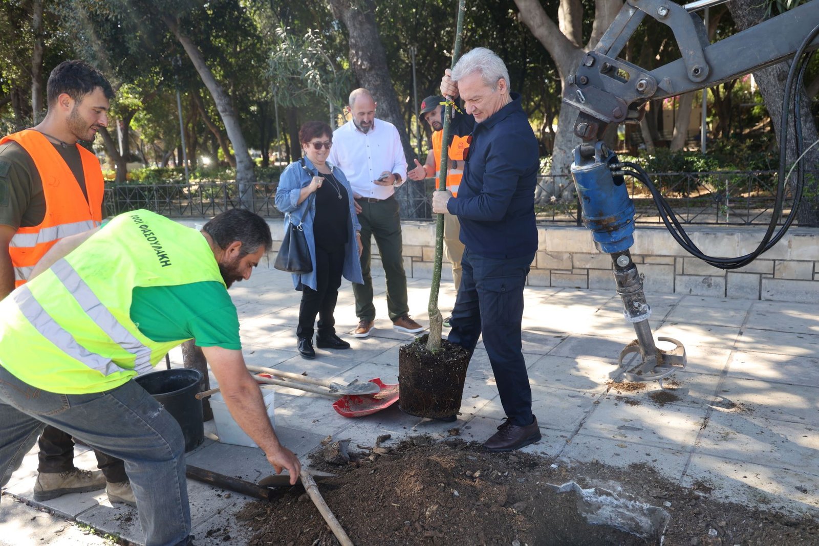Πάρκο Γεωργιάδη: Σημειακές εκσκαφές για αντικατάσταση δέντρων
