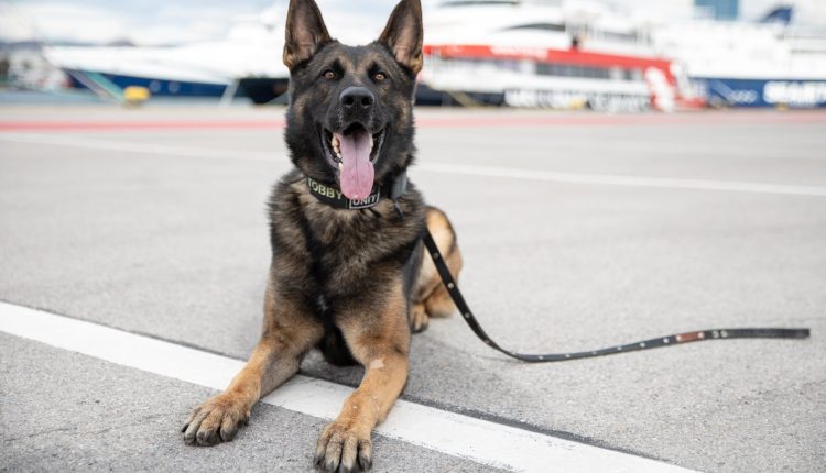 Τον… ξετρύπωσε άμεσα ο Μασκ