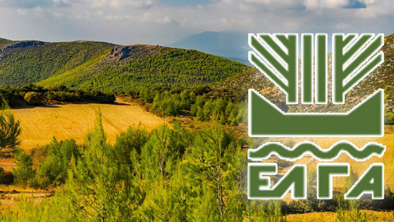 ΕΛΓΑ: 38 εκατ. ευρώ για ζημιές στη φυτική παραγωγή και απώλεια ζωικού κεφαλαίου το 2024
