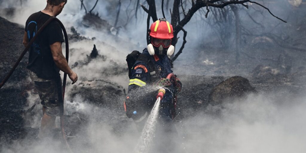 Στον Εισαγγελέα ο Τούρκος εμπρηστής του όρους Αιγάλεω
