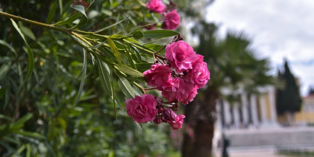 Καιρός: Ανεβαίνει ξανά σήμερα η θερμοκρασία