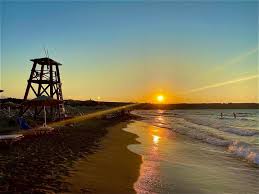 Καθαρίζουν την παραλία του Καρτερού