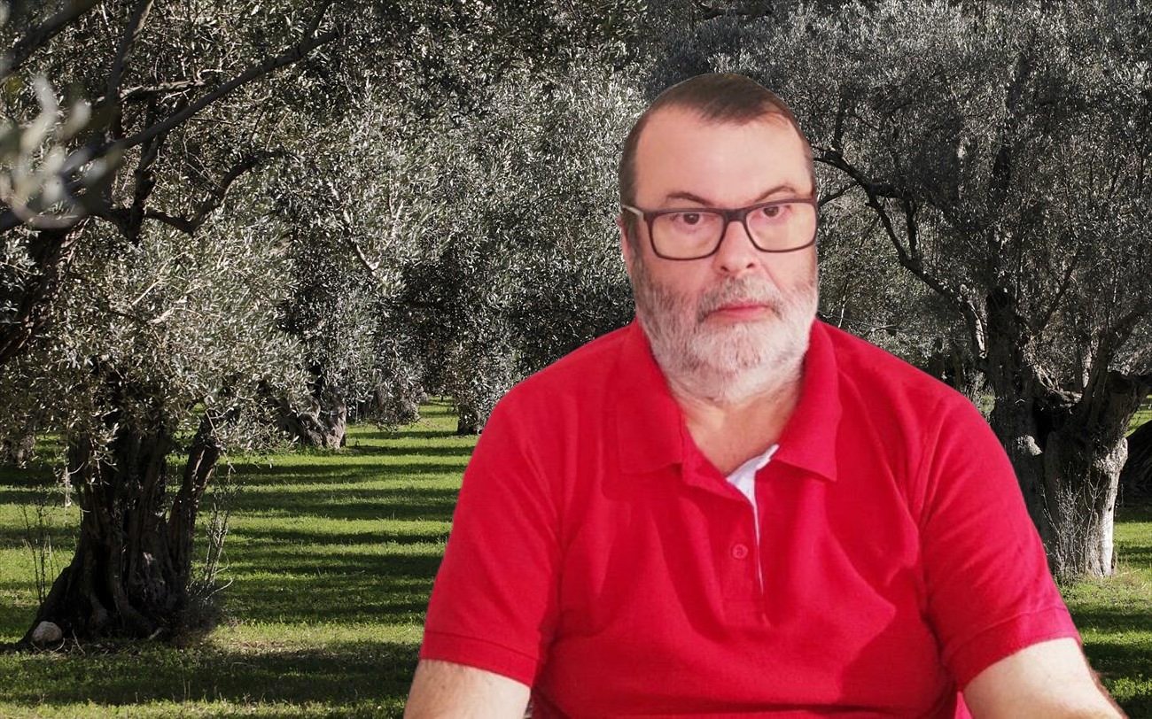 Ηλίας Κάνταρος: Όχι κατεργασία κι όχι πολύ νερό στις ελιές, για μια καλή χρονιά